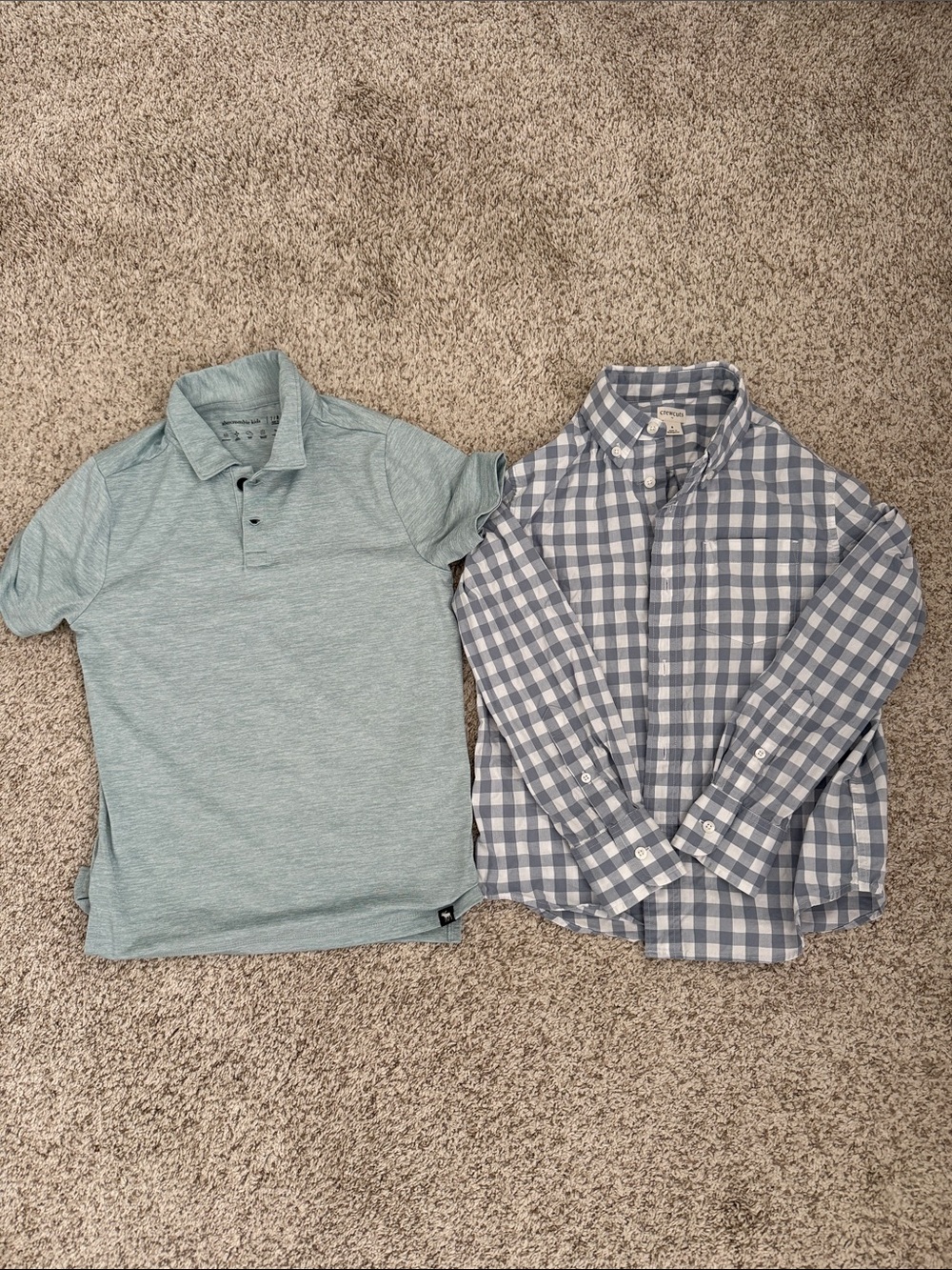 Mint green Polo & Blue Gingham Button-Down Duo